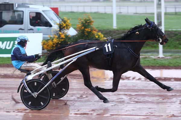 Photo d'arrivée de la course pmu PRIX BIORET CHEVAL à NANTES le Mercredi 8 novembre 2023