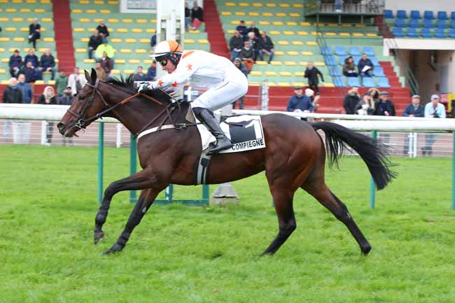Photo d'arrivée de la course pmu PRIX VATELYS à COMPIEGNE le Vendredi 10 novembre 2023