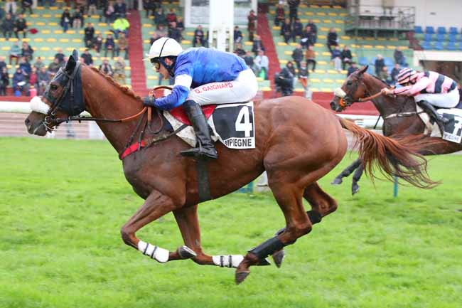 Photo d'arrivée de la course pmu PRIX LYCOMING à COMPIEGNE le Vendredi 10 novembre 2023
