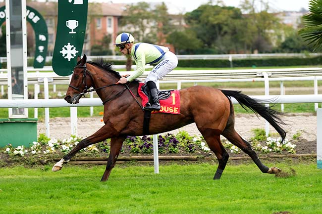 Photo d'arrivée de la course pmu PRIX ACTU TOULOUSE à TOULOUSE le Samedi 11 novembre 2023