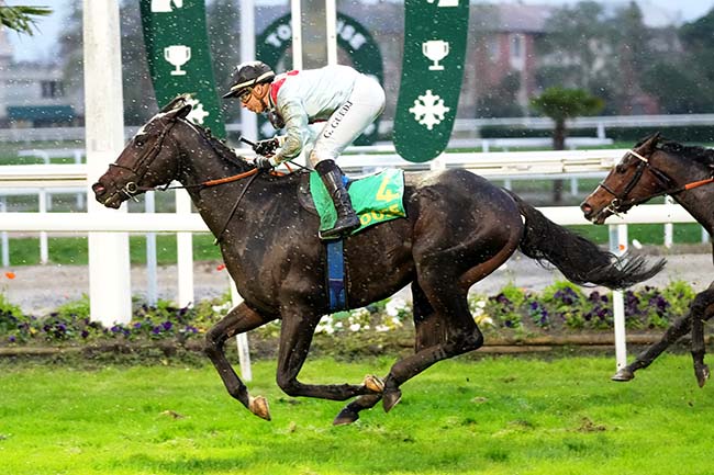Photo d'arrivée de la course pmu PRIX DE 