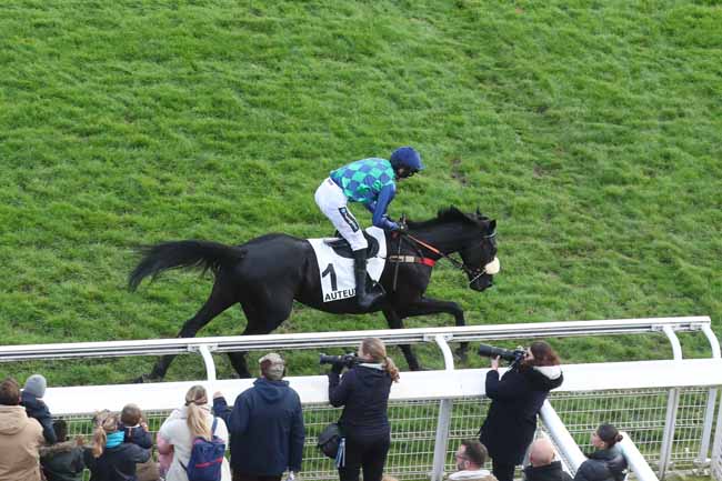 Photo d'arrivée de la course pmu PRIX OENEAS à AUTEUIL le Samedi 11 novembre 2023