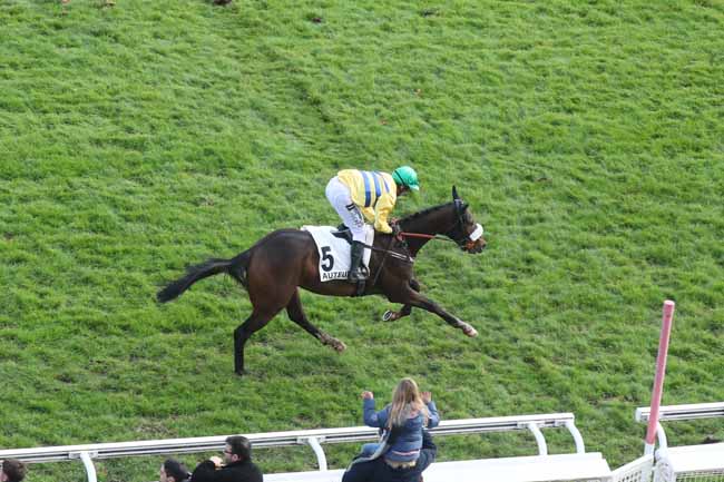 Photo d'arrivée de la course pmu PRIX ROBERT ET JEAN-CLAUDE WEILL à AUTEUIL le Samedi 11 novembre 2023