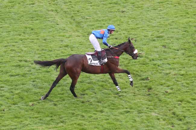 Photo d'arrivée de la course pmu PRIX SERGE LANDON - GRAND PRIX D'AUTOMNE à AUTEUIL le Samedi 11 novembre 2023