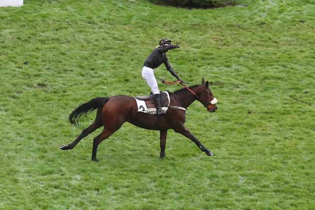 Photo d'arrivée de la course pmu PRIX MAURICE GILLOIS - GRAND STEEPLE-CHASE DES 4 ANS à AUTEUIL le Dimanche 12 novembre 2023