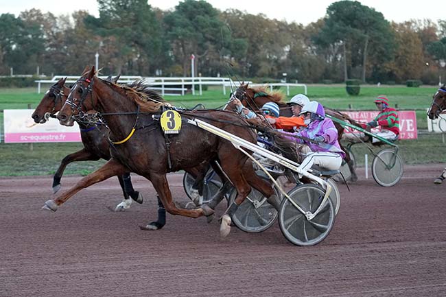 Photo d'arrivée de la course pmu PRIX DES PEUPLIERS à SAINT BRIEUC le Mercredi 15 novembre 2023