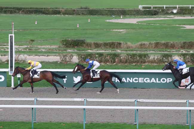Photo d'arrivée de la course pmu PRIX DES FALAISES DES VACHES NOIRES à DEAUVILLE le Mercredi 15 novembre 2023