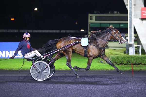 Photo d'arrivée de la course pmu PRIX DE SENONNES à PARIS-VINCENNES le Vendredi 17 novembre 2023
