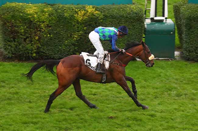 Photo d'arrivée de la course pmu PRIX SAMBRISTAN à AUTEUIL le Samedi 18 novembre 2023