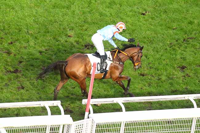 Photo d'arrivée de la course pmu PRIX MARC ANTONY à AUTEUIL le Samedi 18 novembre 2023
