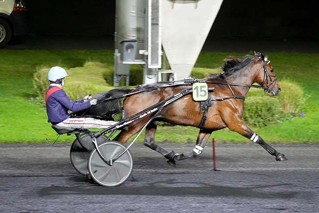 Photo d'arrivée de la course pmu PRIX D'AIGUES MORTES à PARIS-VINCENNES le Dimanche 19 novembre 2023