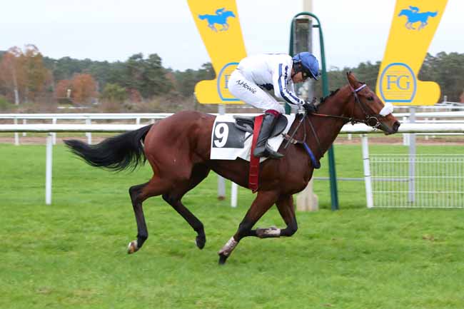 Photo d'arrivée de la course pmu PRIX HENRY MAZE-SENCIER à FONTAINEBLEAU le Lundi 20 novembre 2023