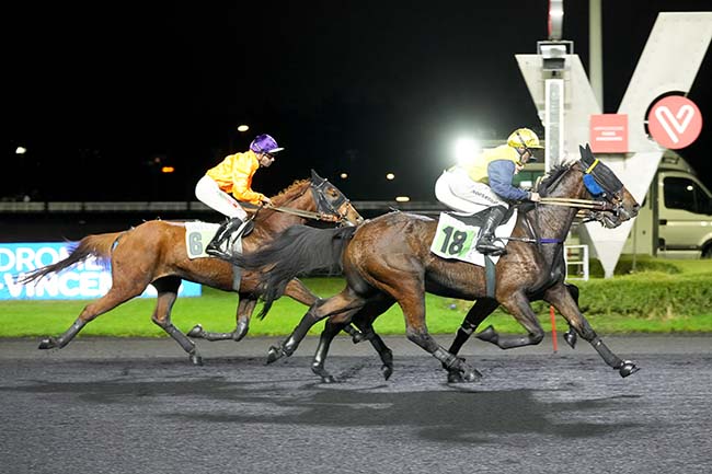 Photo d'arrivée de la course pmu PRIX HESTIA à PARIS-VINCENNES le Mardi 21 novembre 2023
