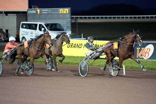 Photo d'arrivée de la course pmu PRIX ANDRE PERDRIX à MAUQUENCHY le Mercredi 22 novembre 2023