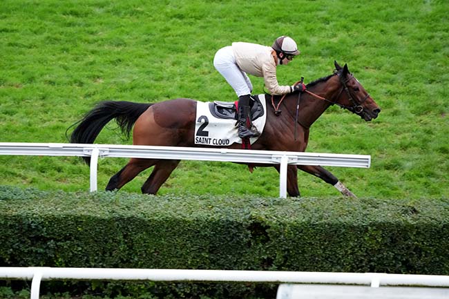 Photo d'arrivée de la course pmu PRIX DU PAYS D'YVELINES à SAINT CLOUD le Vendredi 24 novembre 2023