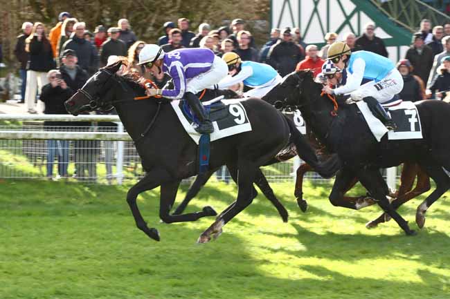 Photo d'arrivée de la course pmu PRIX CONTESSINA à FONTAINEBLEAU le Samedi 25 novembre 2023