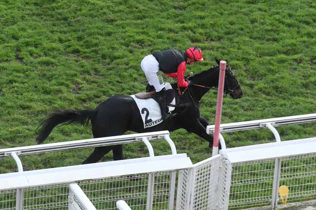 Photo d'arrivée de la course pmu PRIX CHALET à AUTEUIL le Dimanche 26 novembre 2023