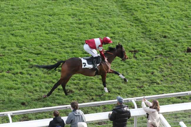 Photo d'arrivée de la course pmu PRIX BOUM à AUTEUIL le Dimanche 26 novembre 2023