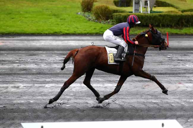 Photo d'arrivée de la course pmu PRIX DE SANTIGNY à PARIS-VINCENNES le Lundi 27 novembre 2023