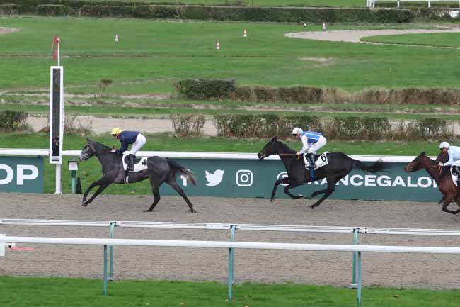 Photo d'arrivée de la course pmu PRIX DE PREAUX à DEAUVILLE le Mercredi 29 novembre 2023