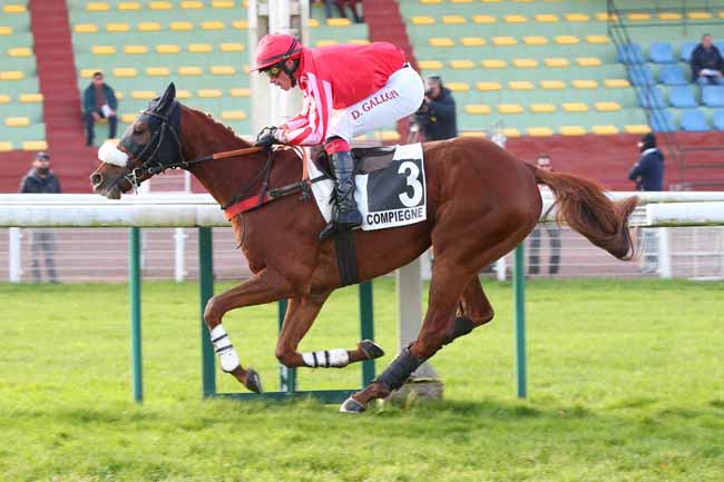 Photo d'arrivée de la course pmu PRIX ROGER DE MINVIELLE à COMPIEGNE le Jeudi 30 novembre 2023