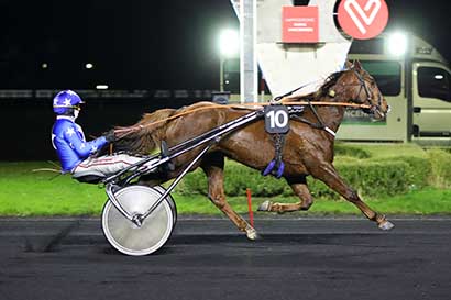 Photo d'arrivée de la course pmu PRIX VESTA à PARIS-VINCENNES le Vendredi 1 décembre 2023