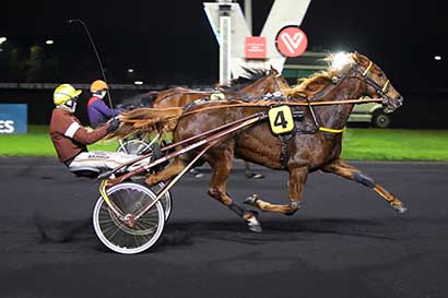 Photo d'arrivée de la course pmu PRIX CERES à PARIS-VINCENNES le Vendredi 1 décembre 2023