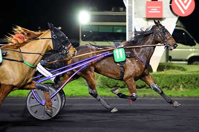 Photo d'arrivée de la course pmu PRIX OTTILIA à PARIS-VINCENNES le Vendredi 1 décembre 2023