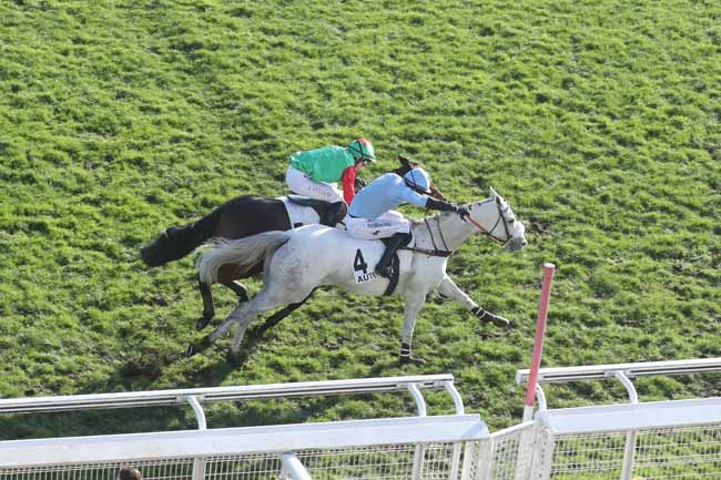 Photo d'arrivée de la course pmu PRIX FRANCOIS DE PONCINS à AUTEUIL le Samedi 2 décembre 2023