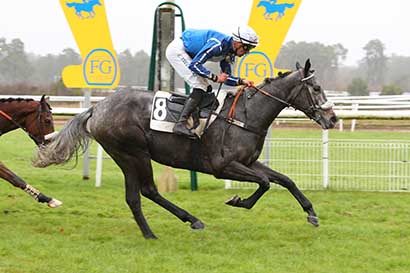 Photo d'arrivée de la course pmu PRIX DE LA MARE AUX CERFS à FONTAINEBLEAU le Mardi 5 décembre 2023