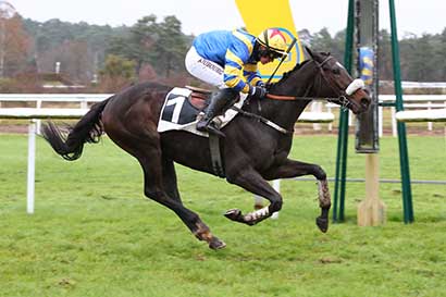 Photo d'arrivée de la course pmu PRIX DU FER A CHEVAL à FONTAINEBLEAU le Mardi 5 décembre 2023