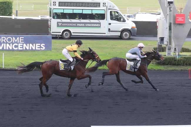 Photo d'arrivée de la course pmu PRIX DE CONDOM à PARIS-VINCENNES le Mercredi 6 décembre 2023