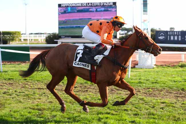 Photo d'arrivée de la course pmu PRIX UBU III à CAGNES-SUR-MER le Lundi 11 décembre 2023