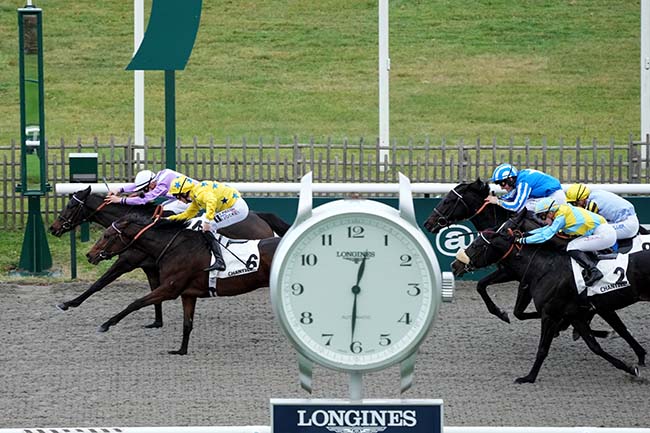 Photo d'arrivée de la course pmu PRIX DE L'ALLEE MASSINE à CHANTILLY le Mardi 12 décembre 2023