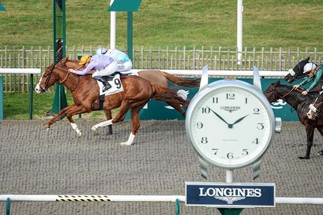 Photo d'arrivée de la course pmu PRIX DE LA PISTE DES LIONS à CHANTILLY le Mardi 12 décembre 2023