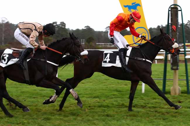 Photo d'arrivée de la course pmu PRIX BARON GEOFFROY DE WALDNER à FONTAINEBLEAU le Mardi 12 décembre 2023