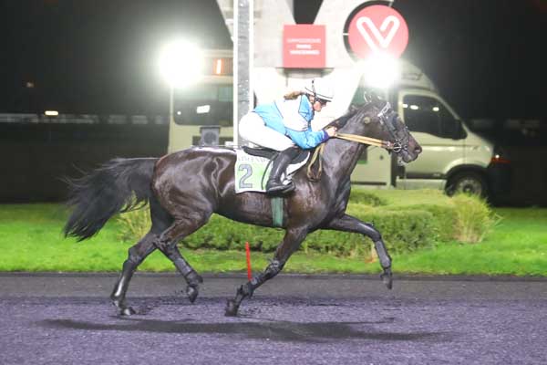 Photo d'arrivée de la course pmu PRIX DE SEICHES-SUR-LE-LOIR à PARIS-VINCENNES le Mardi 12 décembre 2023