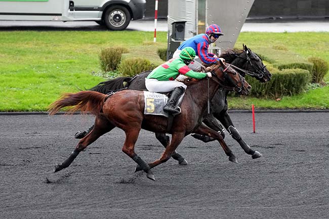 Photo d'arrivée de la course pmu PRIX DE POISSY à PARIS-VINCENNES le Mercredi 13 décembre 2023
