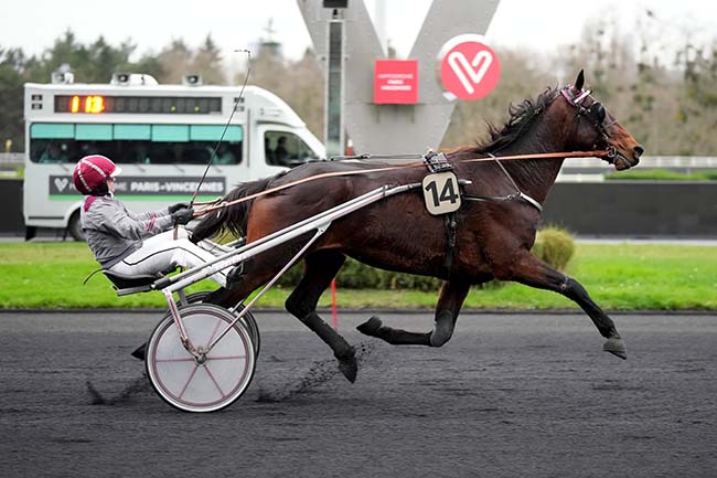 Photo d'arrivée de la course pmu PRIX DE SAINT-MALO à PARIS-VINCENNES le Jeudi 14 décembre 2023