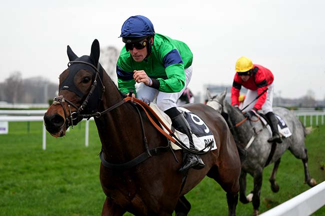 Photo d'arrivée de la course pmu PRIX 40 ANS BY POLIN (PRIX HENRY RIDGWAY) à PAU le Mardi 19 décembre 2023
