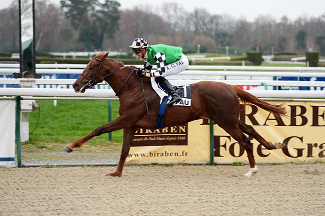 Photo d'arrivée de la course pmu PRIX DE BILHERES à PAU le Mardi 19 décembre 2023