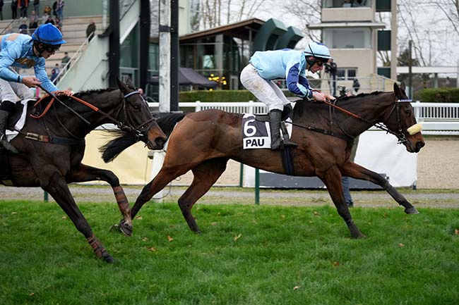 Photo d'arrivée de la course pmu PRIX ABEL RAMON DIAGO à PAU le Mardi 19 décembre 2023
