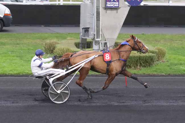 Photo d'arrivée de la course pmu PRIX DE TARBES à PARIS-VINCENNES le Lundi 25 décembre 2023