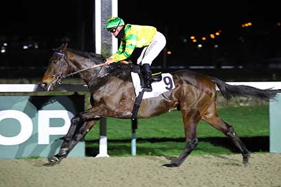Photo d'arrivée de la course pmu PRIX DE LA COUR DU BOSC à DEAUVILLE le Vendredi 29 décembre 2023