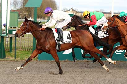 Photo d'arrivée de la course pmu PRIX DE LA CHAMBRE DE MARBRE à CHANTILLY le Samedi 30 décembre 2023