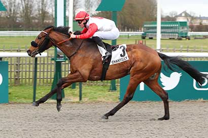 Photo d'arrivée de la course pmu PRIX DE LA GARENNE DE CHARLEMONT à CHANTILLY le Samedi 30 décembre 2023