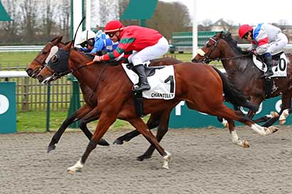Photo d'arrivée de la course pmu PRIX DU SALON DE GUISE à CHANTILLY le Samedi 30 décembre 2023