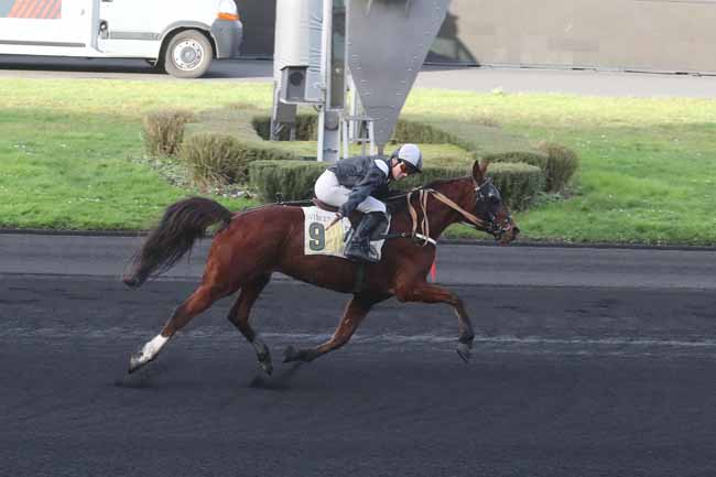 Photo d'arrivée de la course pmu PRIX WTW HIPCOVER ASSURANCES HIPPIQUES (PRIX DE BOUVRON) à PARIS-VINCENNES le Dimanche 31 décembre 2023