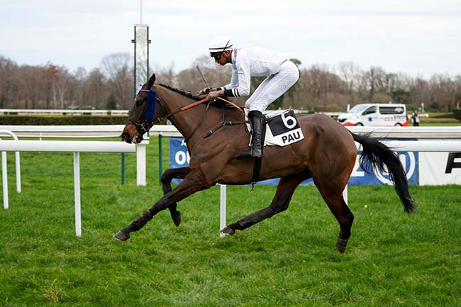 Photo d'arrivée de la course pmu PRIX DE SAINT-ARMOU à PAU le Mardi 2 janvier 2024