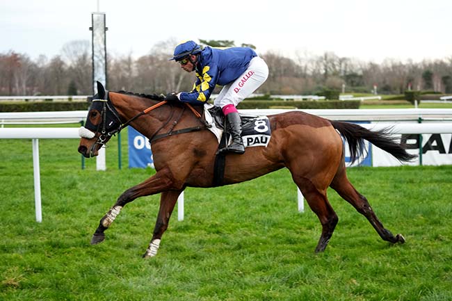 Photo d'arrivée de la course pmu PRIX D'ARTIGUELOUVE à PAU le Mardi 2 janvier 2024